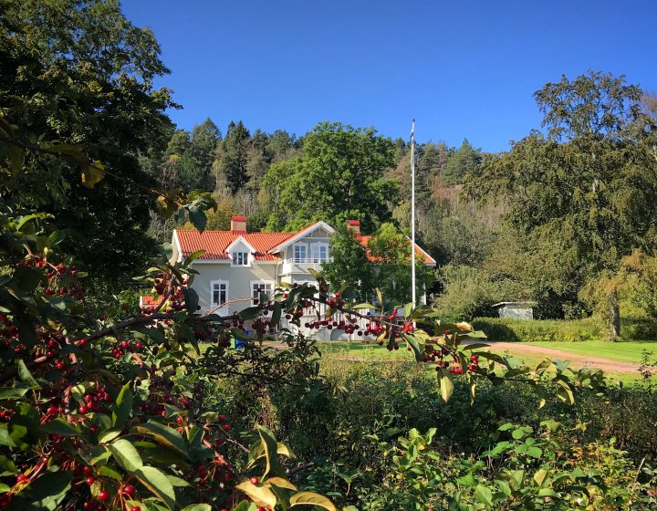 Hoest 2019 Praestgarden Pedagogen Park